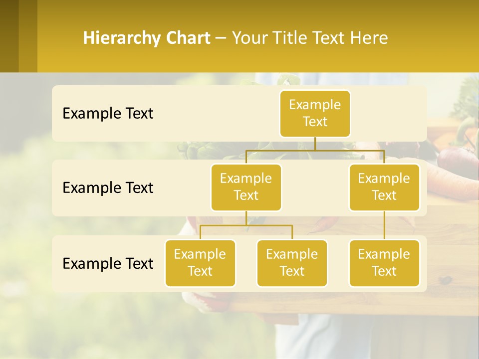 Home Conditioner Heat PowerPoint Template