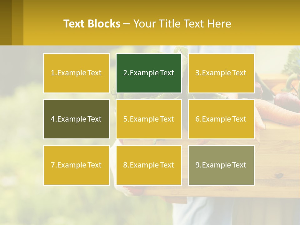 Home Conditioner Heat PowerPoint Template