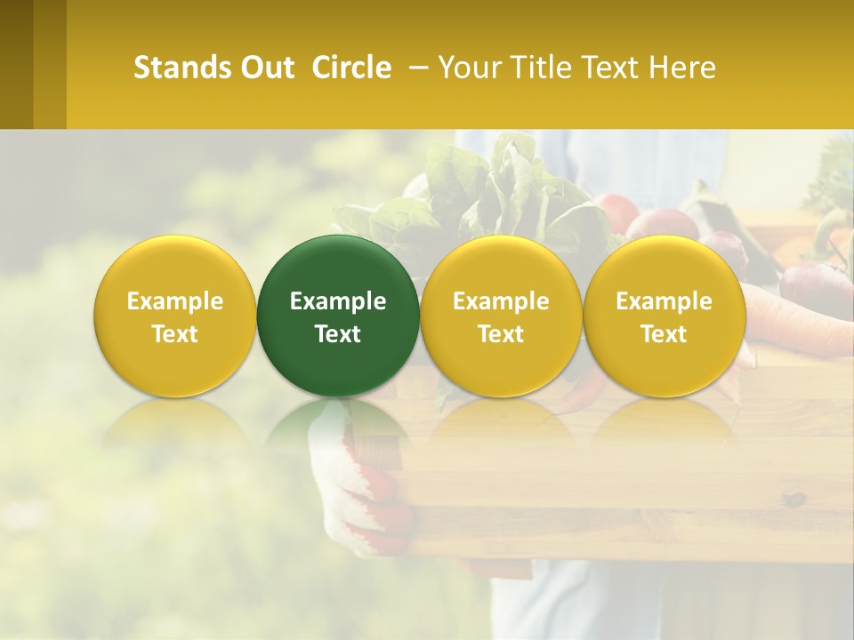 Home Conditioner Heat PowerPoint Template