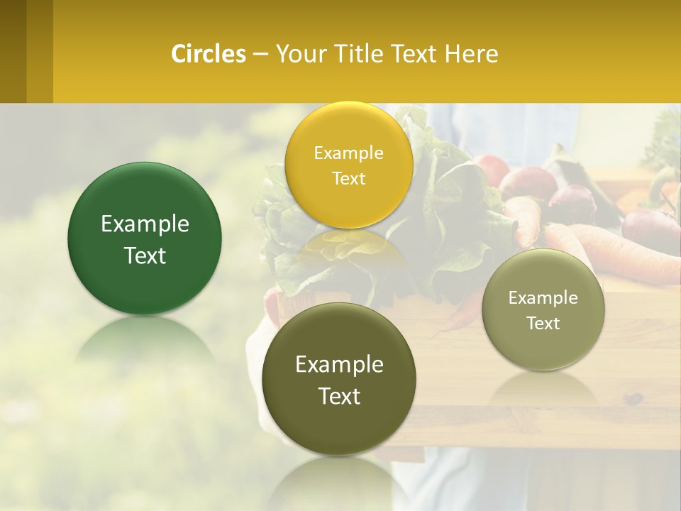 Home Conditioner Heat PowerPoint Template