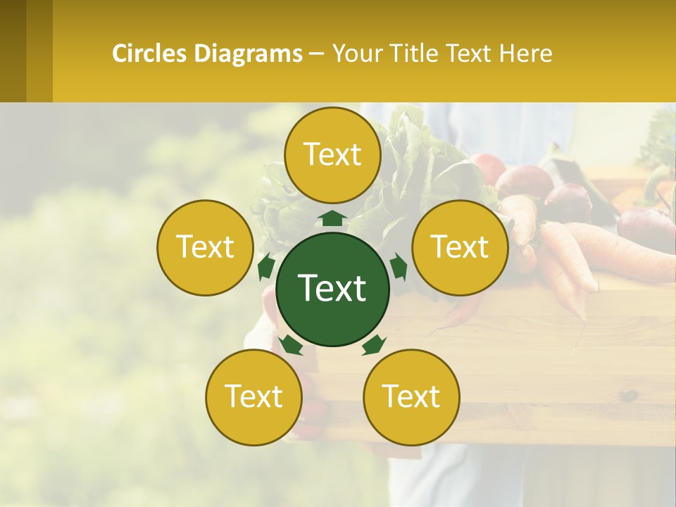 Home Conditioner Heat PowerPoint Template