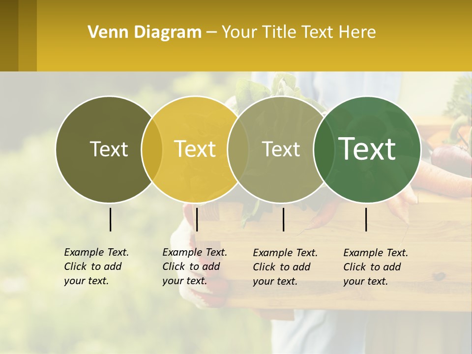 Home Conditioner Heat PowerPoint Template