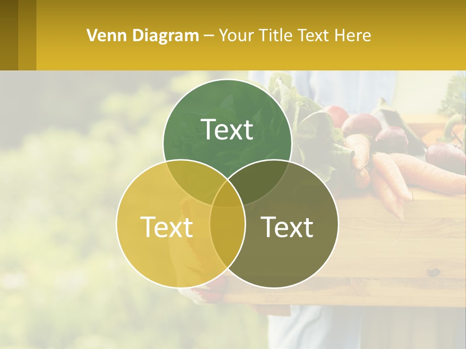 Home Conditioner Heat PowerPoint Template