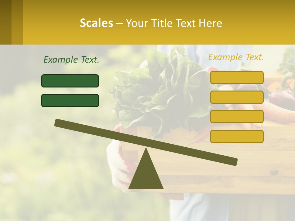 Home Conditioner Heat PowerPoint Template