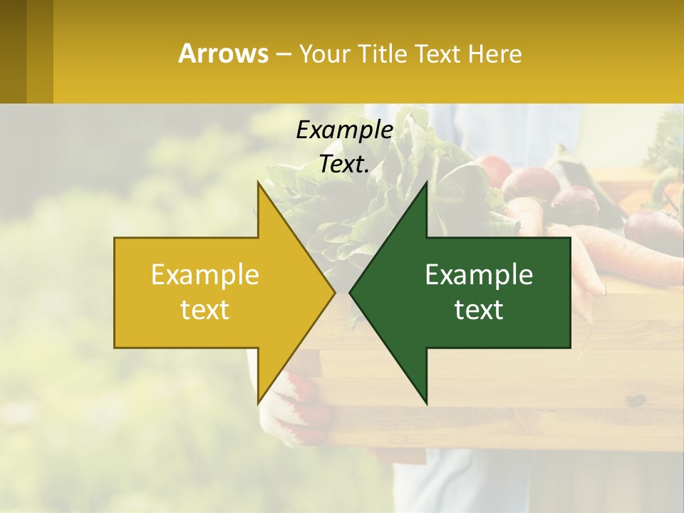 Home Conditioner Heat PowerPoint Template