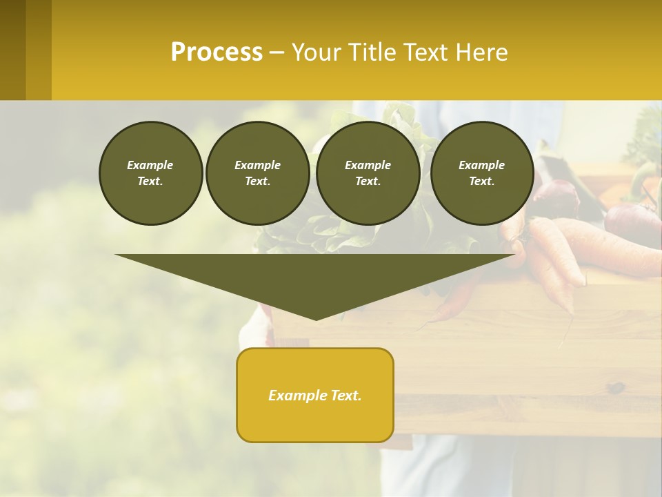 Home Conditioner Heat PowerPoint Template