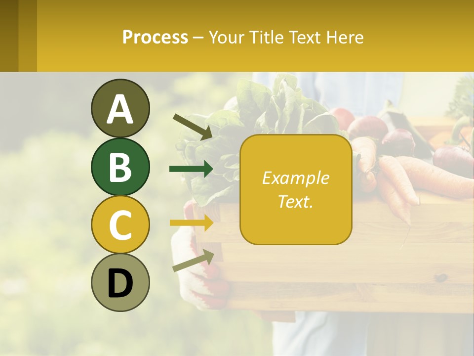 Home Conditioner Heat PowerPoint Template