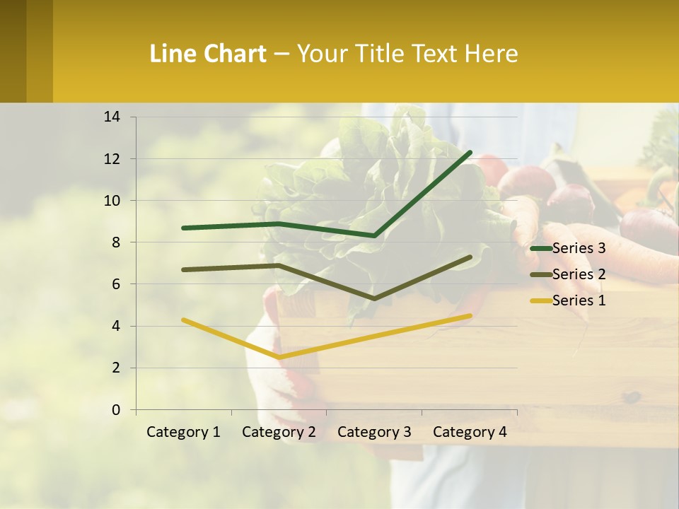 Home Conditioner Heat PowerPoint Template