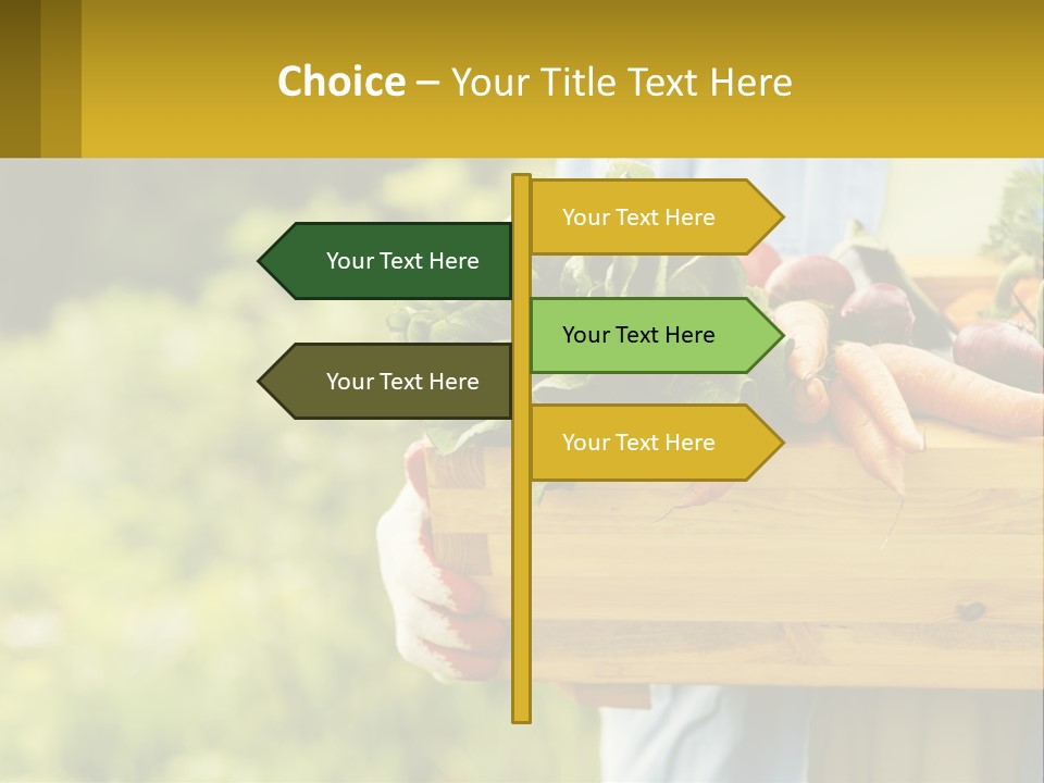 Home Conditioner Heat PowerPoint Template