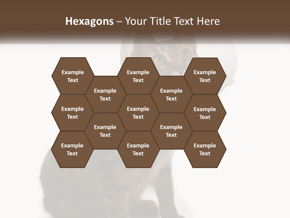 Industry House Electric PowerPoint Template