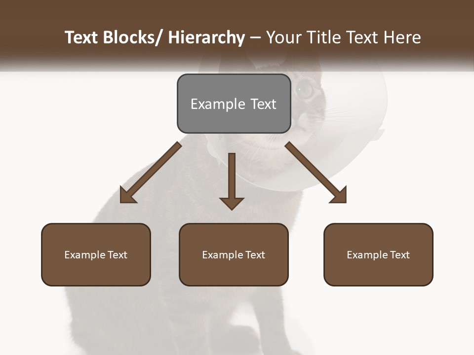 Industry House Electric PowerPoint Template