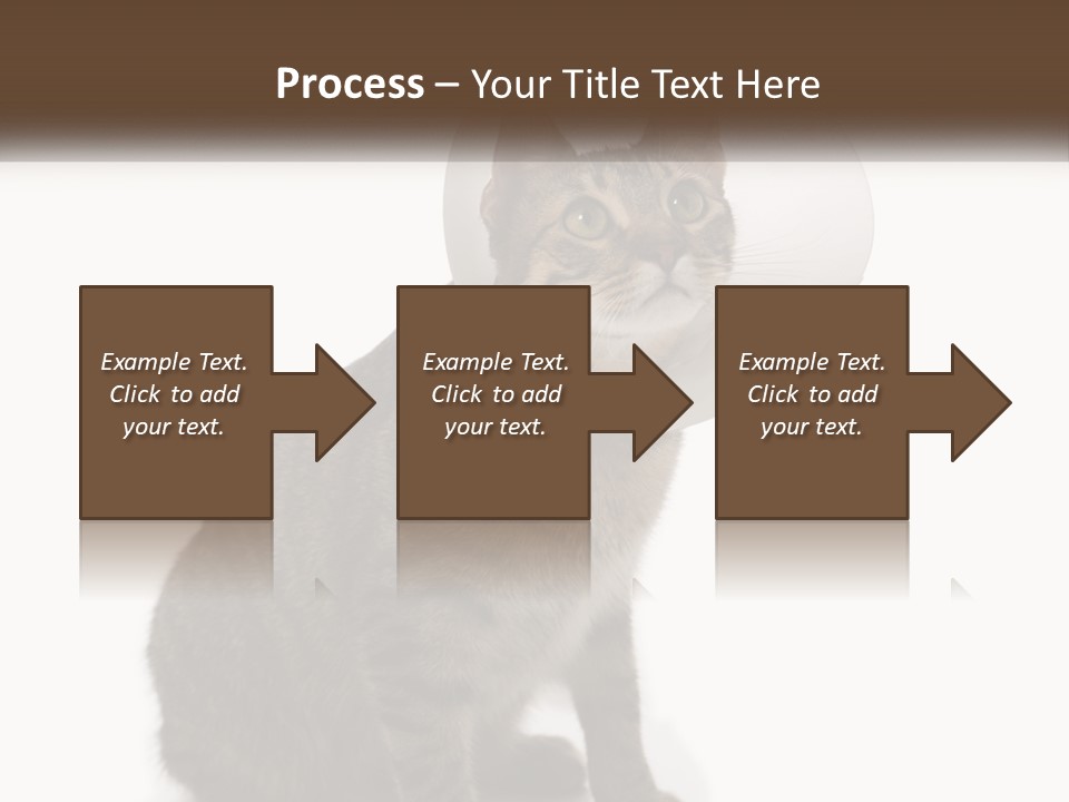 Industry House Electric PowerPoint Template