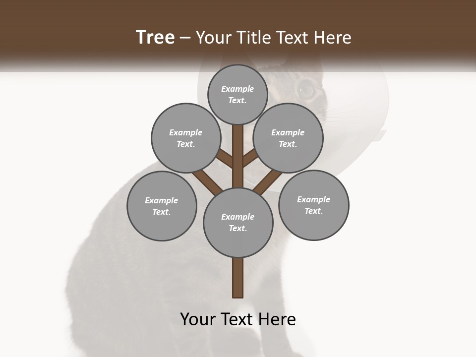 Industry House Electric PowerPoint Template