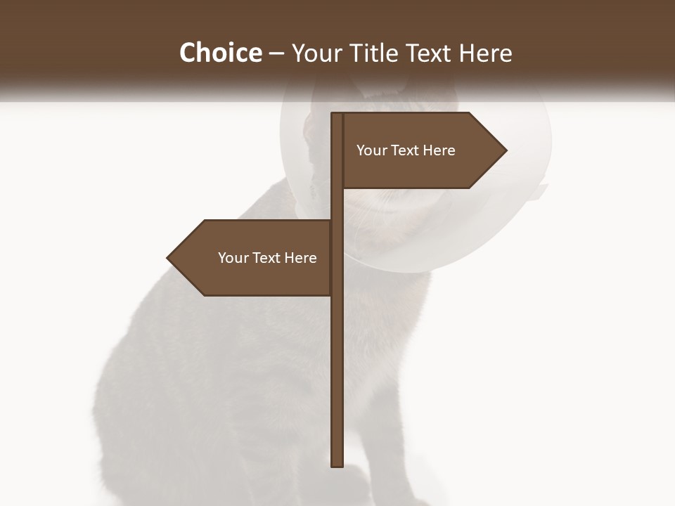 Industry House Electric PowerPoint Template