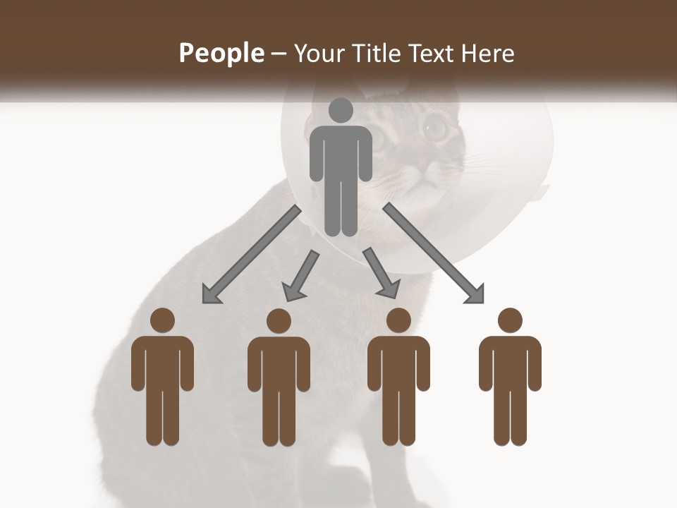 Industry House Electric PowerPoint Template