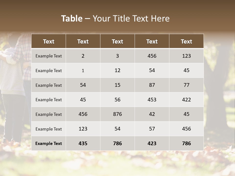 Heat Climate House PowerPoint Template