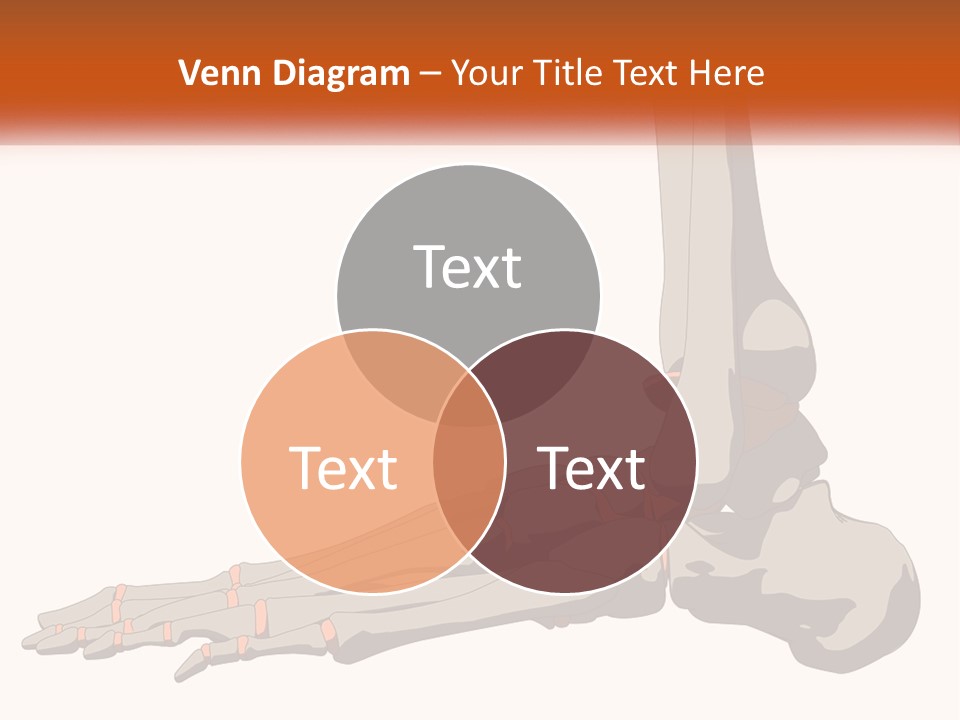 Unit Home Switch PowerPoint Template