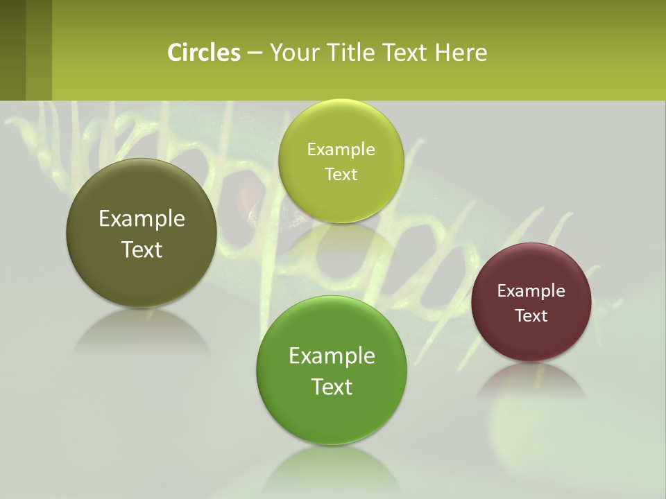 Remote House Technology PowerPoint Template