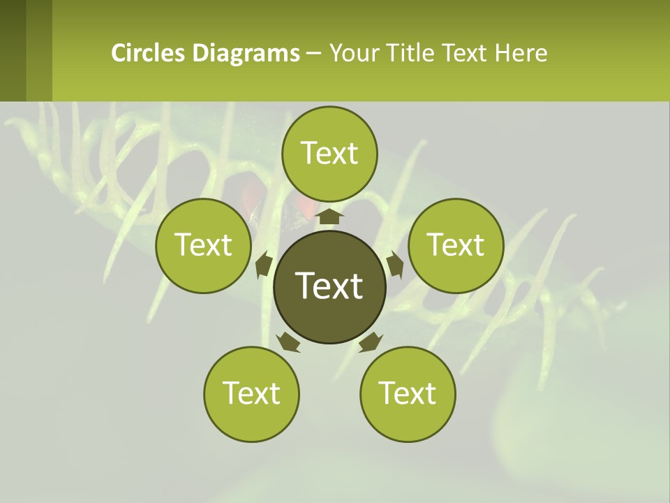 Remote House Technology PowerPoint Template