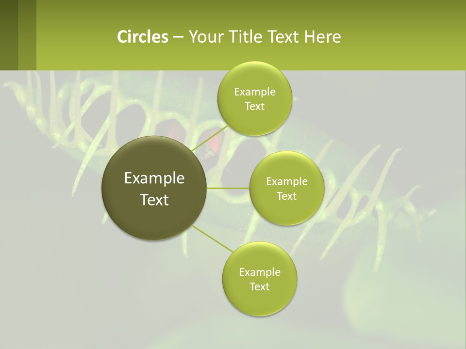 Remote House Technology PowerPoint Template
