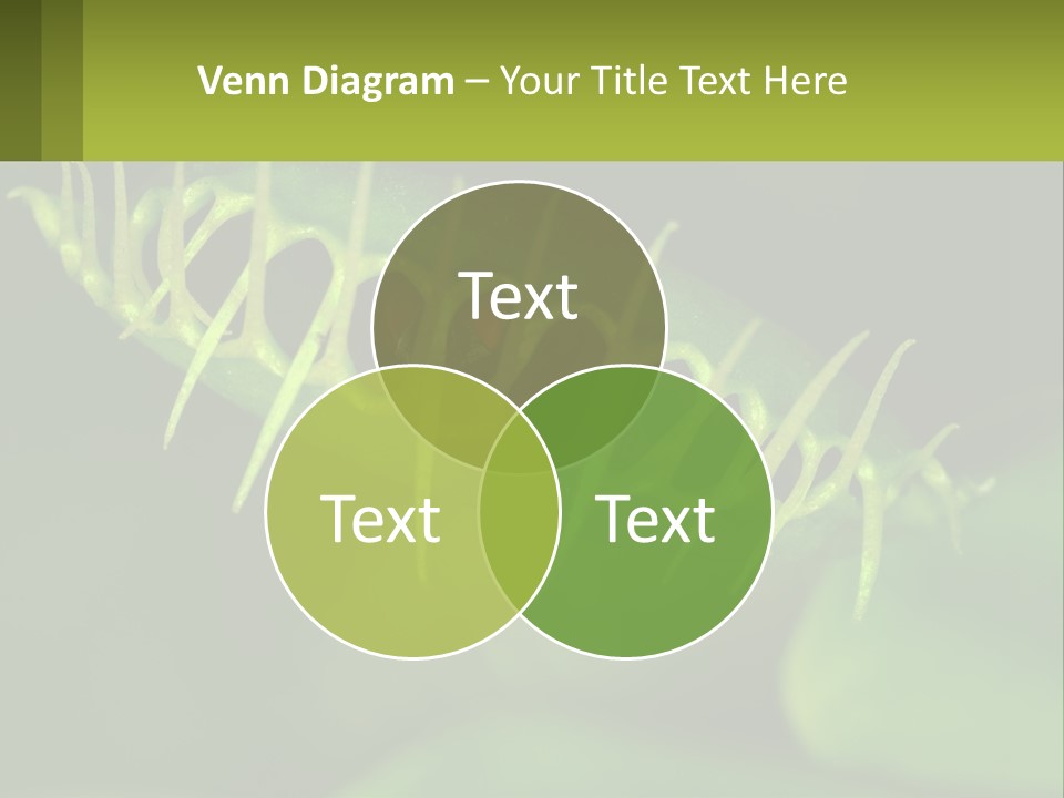 Remote House Technology PowerPoint Template
