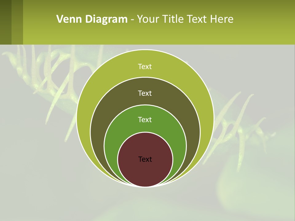 Remote House Technology PowerPoint Template