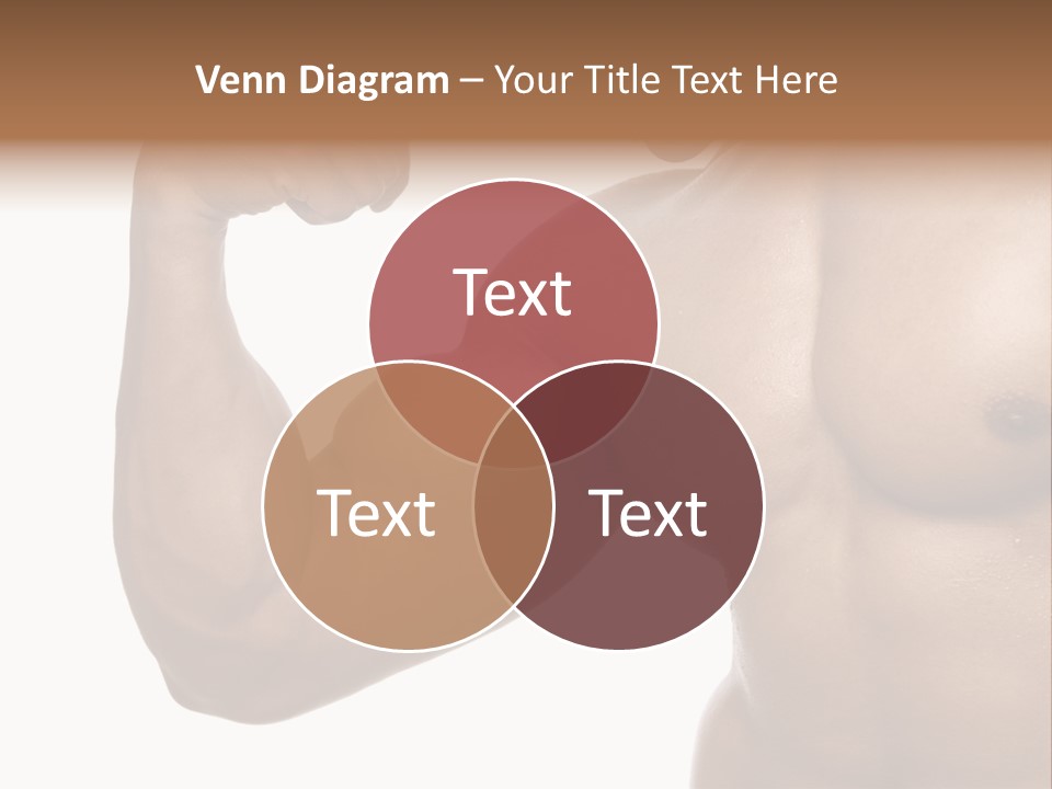 House Part System PowerPoint Template