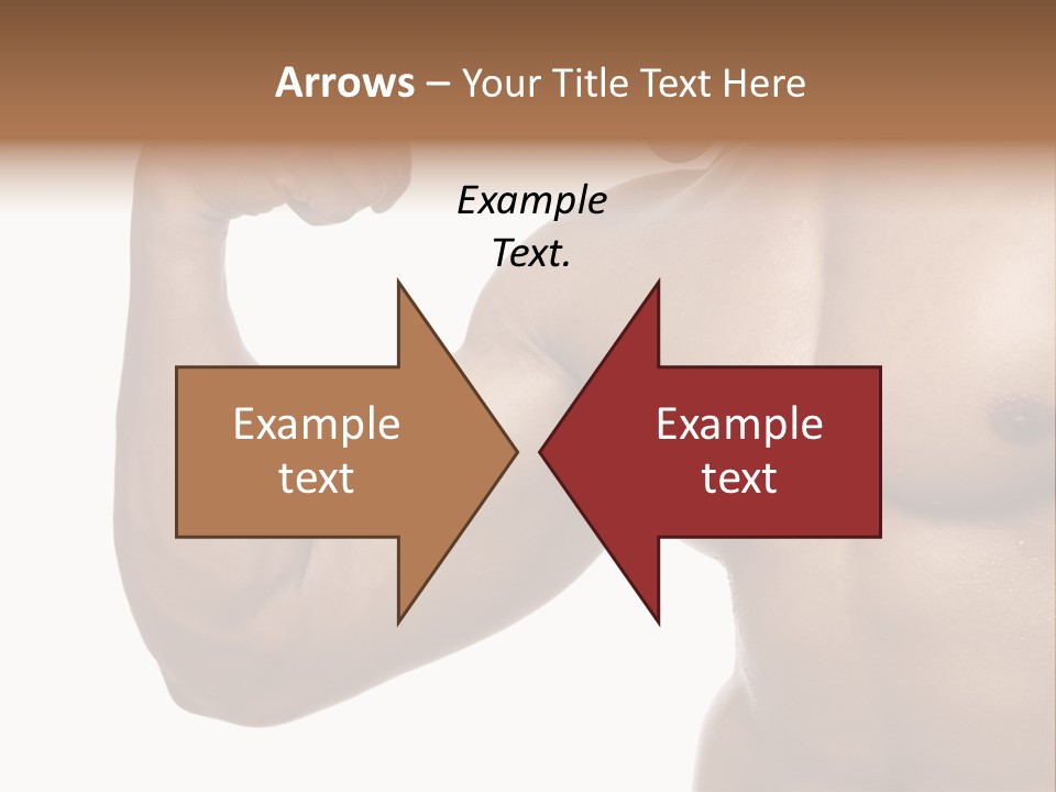 House Part System PowerPoint Template