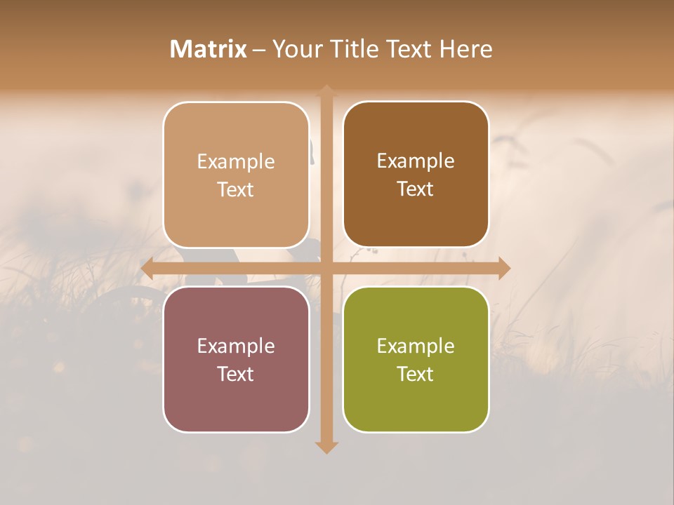 Electric Switch Industry PowerPoint Template