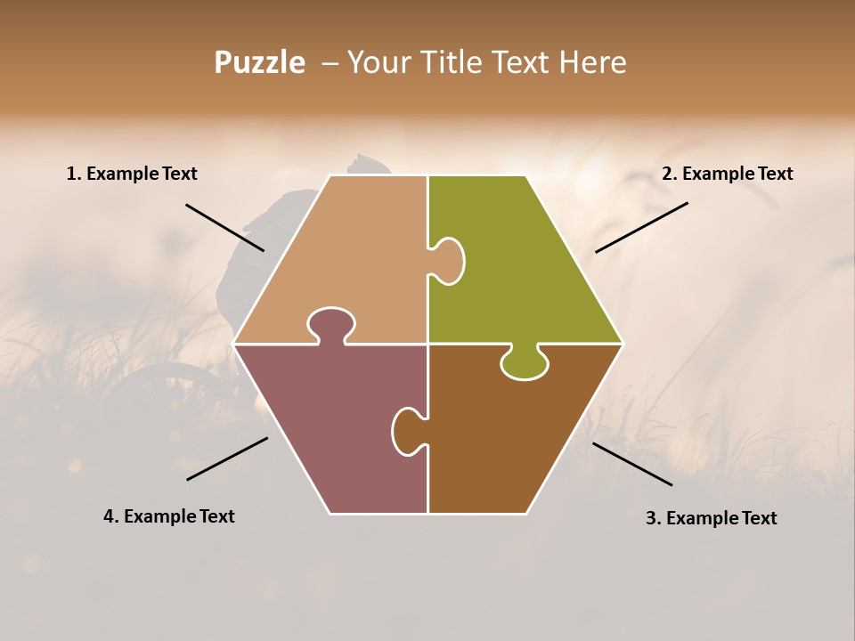Electric Switch Industry PowerPoint Template