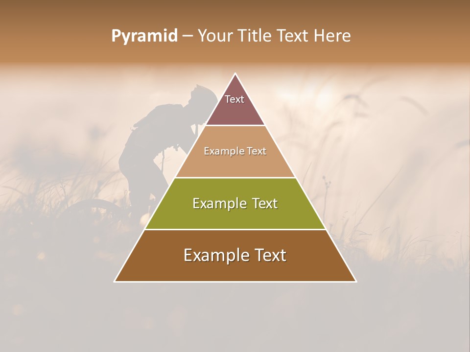 Electric Switch Industry PowerPoint Template