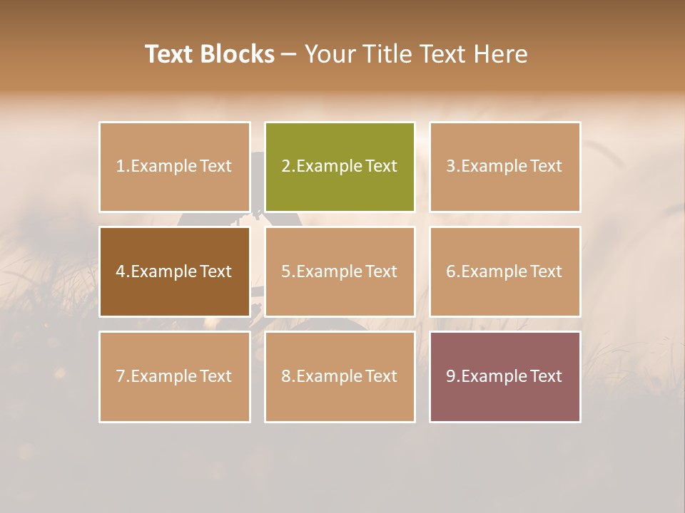 Electric Switch Industry PowerPoint Template