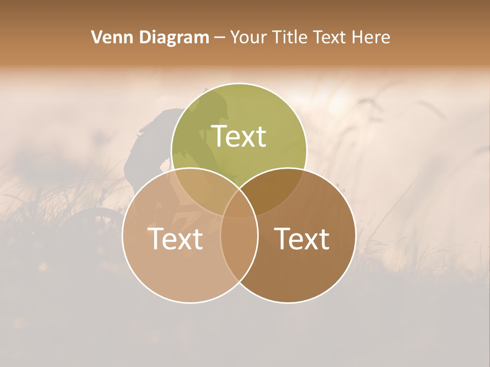 Electric Switch Industry PowerPoint Template