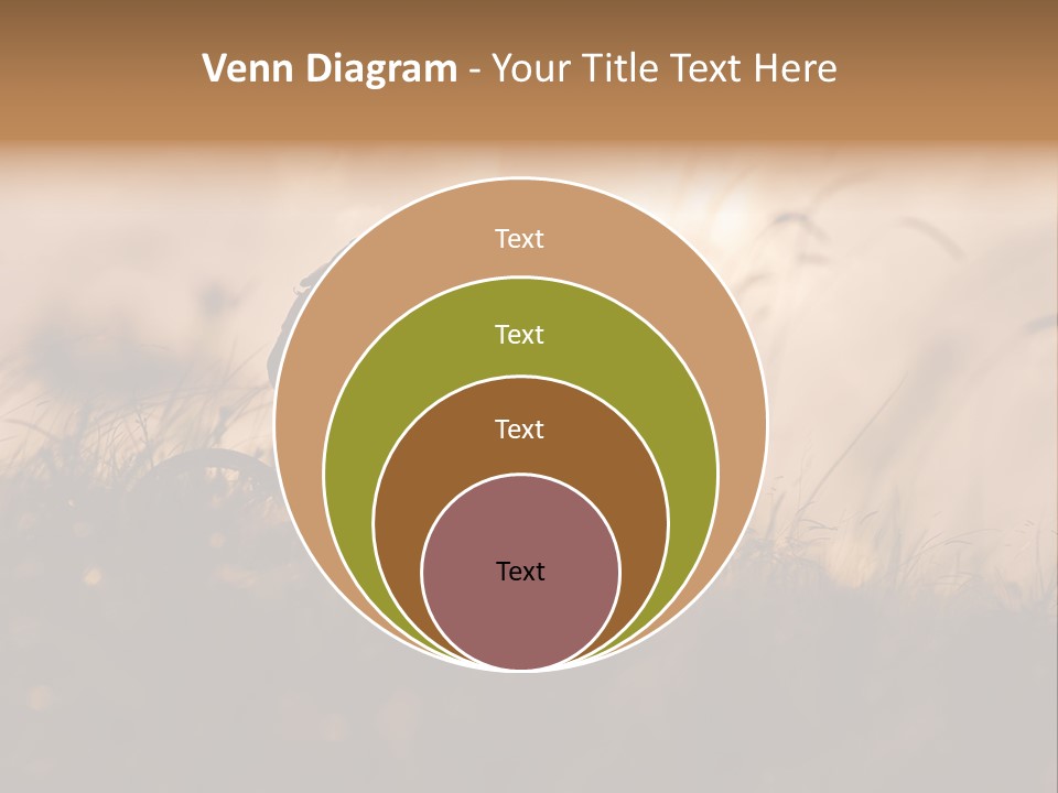 Electric Switch Industry PowerPoint Template