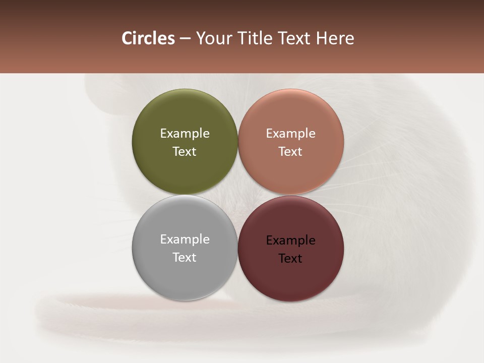 Switch Part Home PowerPoint Template