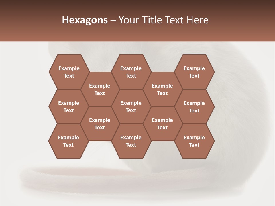 Switch Part Home PowerPoint Template