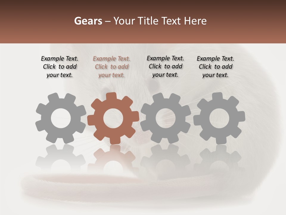 Switch Part Home PowerPoint Template