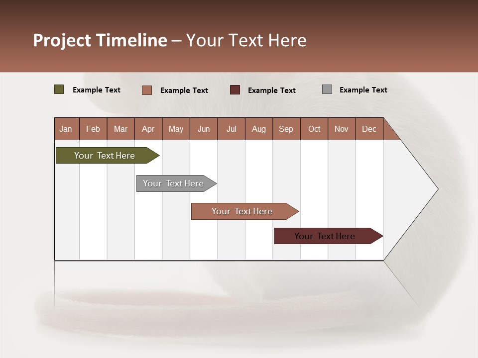 Switch Part Home PowerPoint Template