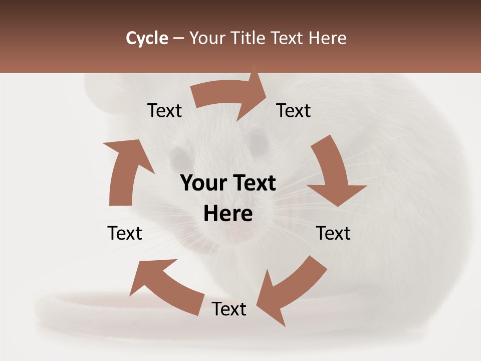Switch Part Home PowerPoint Template