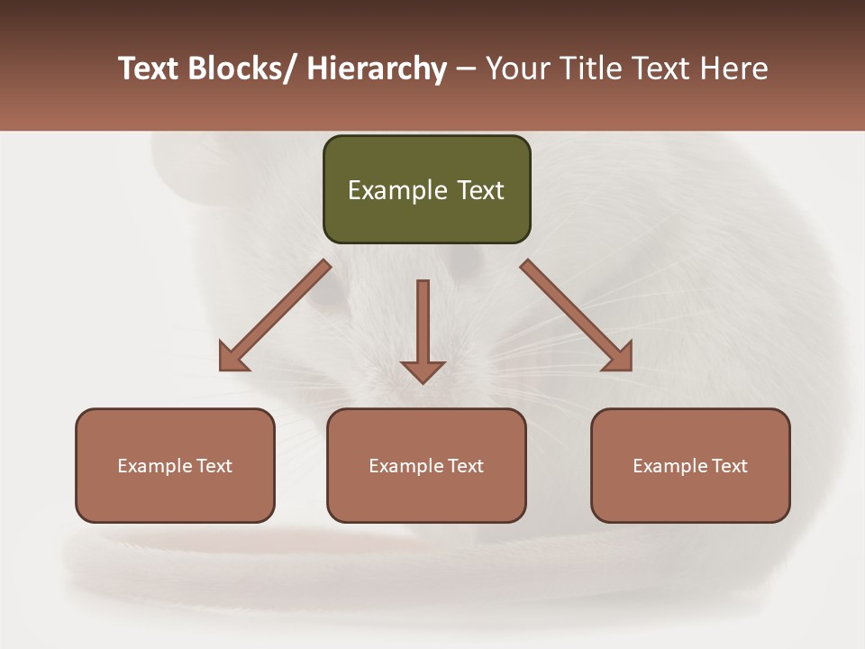 Switch Part Home PowerPoint Template