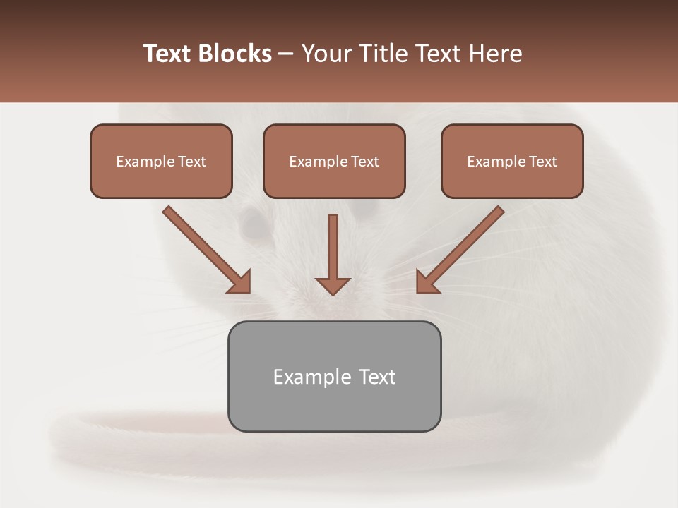 Switch Part Home PowerPoint Template