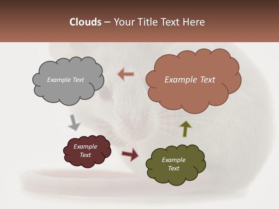 Switch Part Home PowerPoint Template