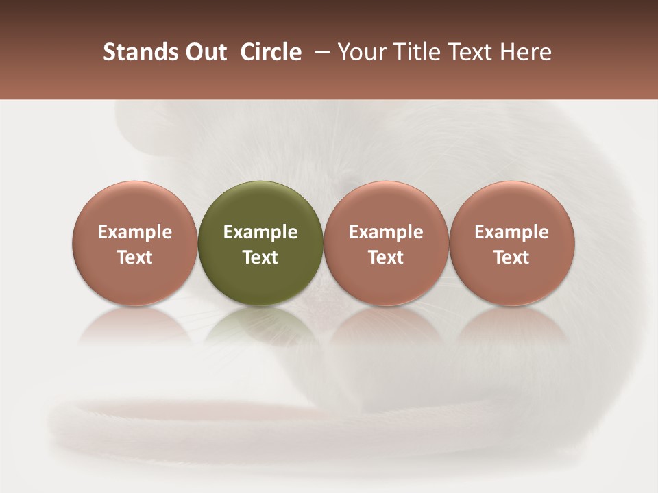 Switch Part Home PowerPoint Template