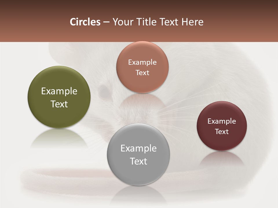 Switch Part Home PowerPoint Template