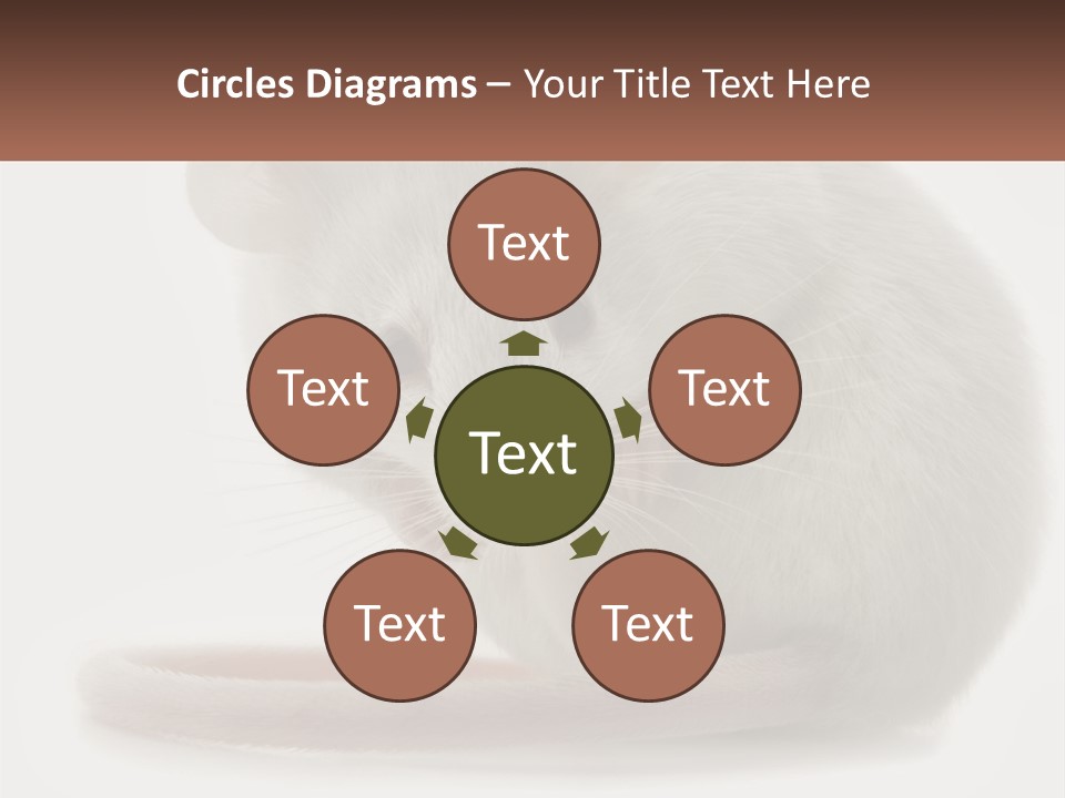 Switch Part Home PowerPoint Template