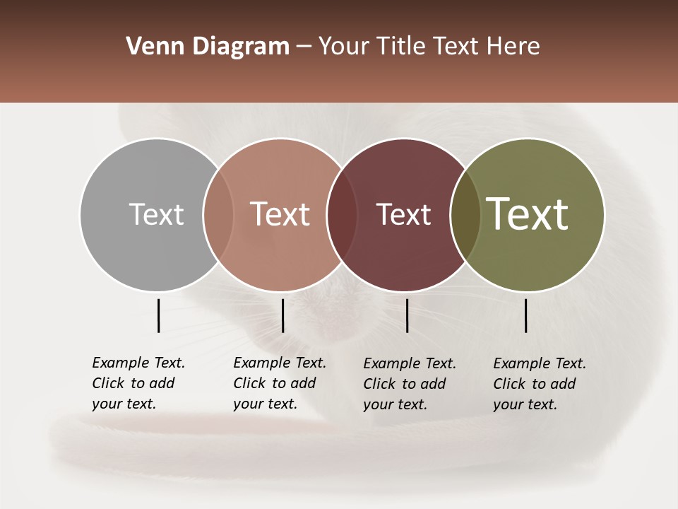 Switch Part Home PowerPoint Template