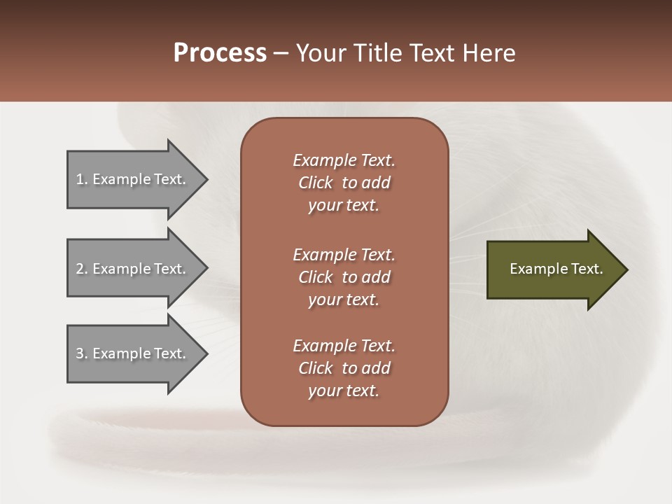 Switch Part Home PowerPoint Template