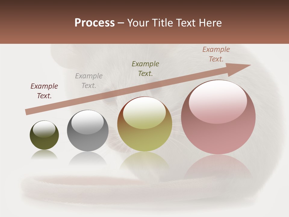 Switch Part Home PowerPoint Template