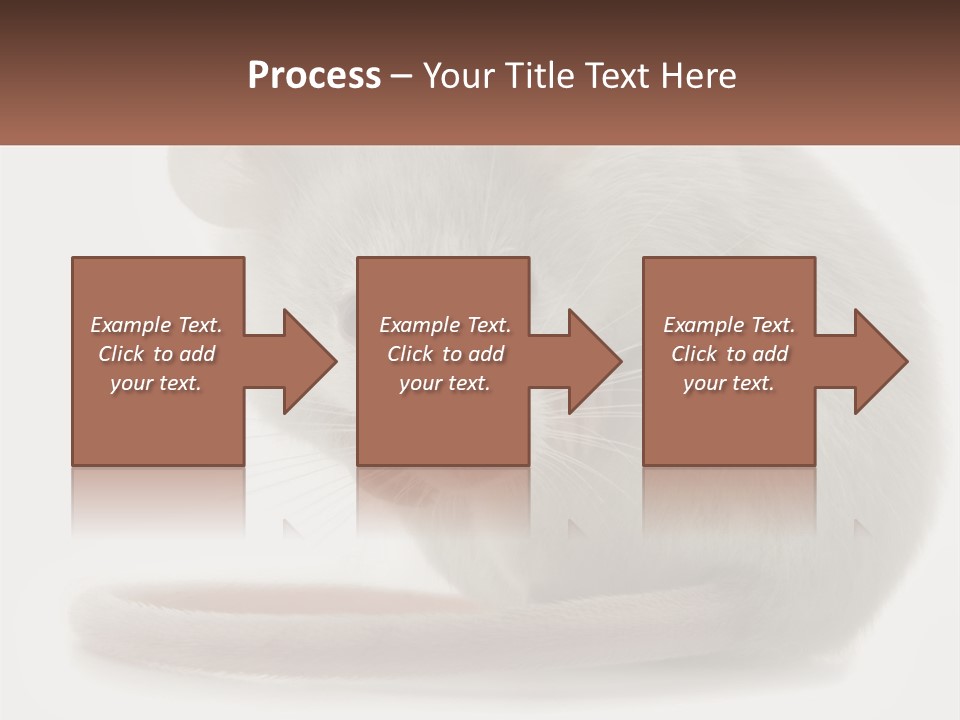 Switch Part Home PowerPoint Template