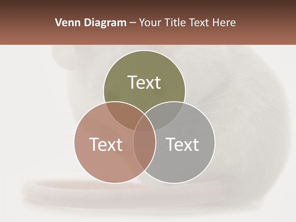 Switch Part Home PowerPoint Template